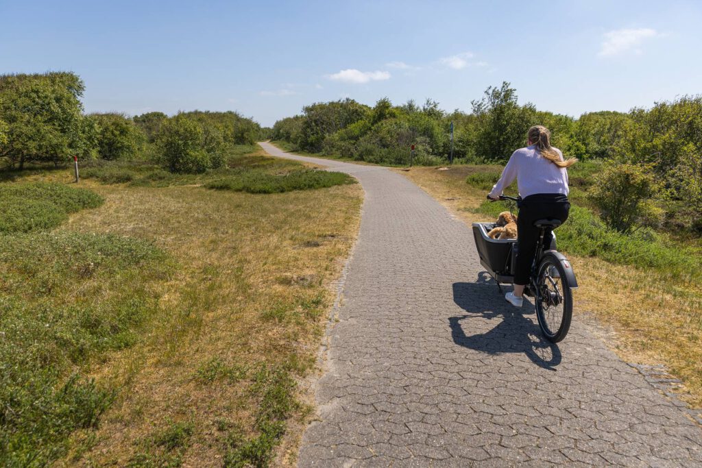 Mit dem Fahrrad über Norderney – Radweg durch die Dünen
