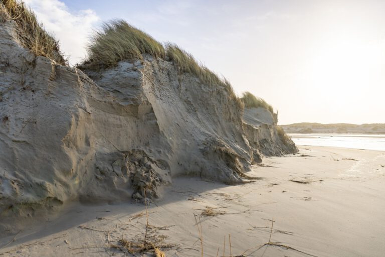 Abbruchkante an den Dünen von Norderney nach einer Sturmflut